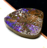 Ammolite Palm Stone #743