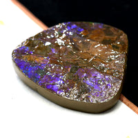 Ammolite Palm Stone #743