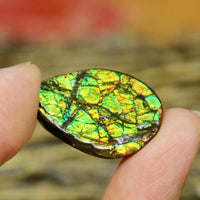 Freeform Natural Ammolite Loose Gemstone #A338