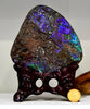 Ammolite Palm Stone #743