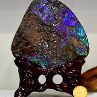Ammolite Palm Stone #743