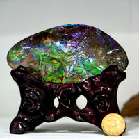 Ammolite Hand Sample Stone #616