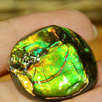 Freeform Natural Ammolite Loose Gemstone #A230