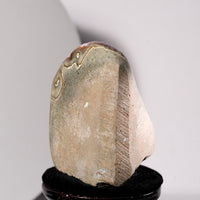 Amethyst Clusters Stone Base Cut (0.72 LB) #3035