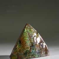 Top Grade Ammolite Display Stone #886