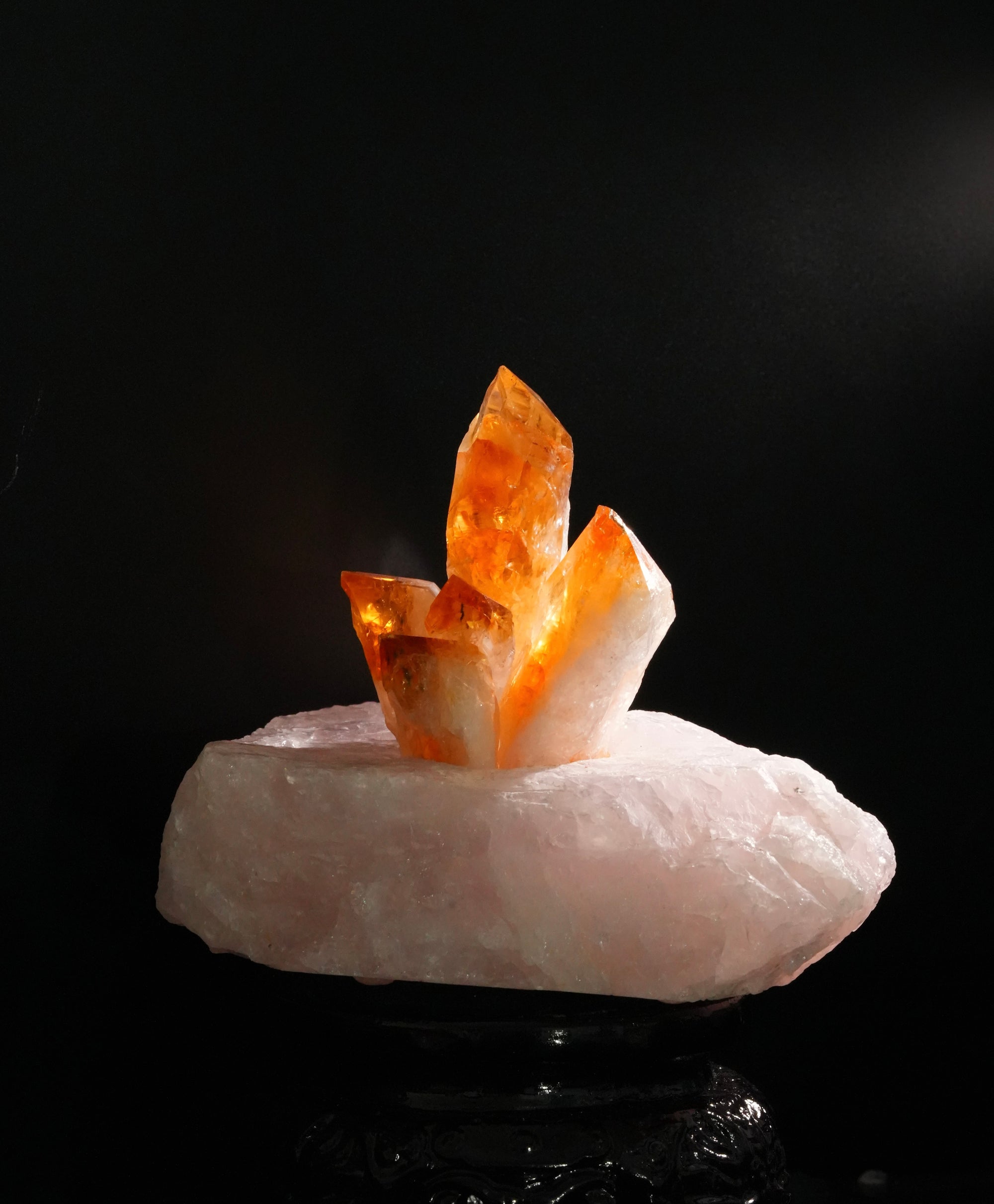 Double Fortune Citrine and Rose Quartz Crystal Display #2823