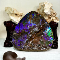 Ammolite Palm Stone #743