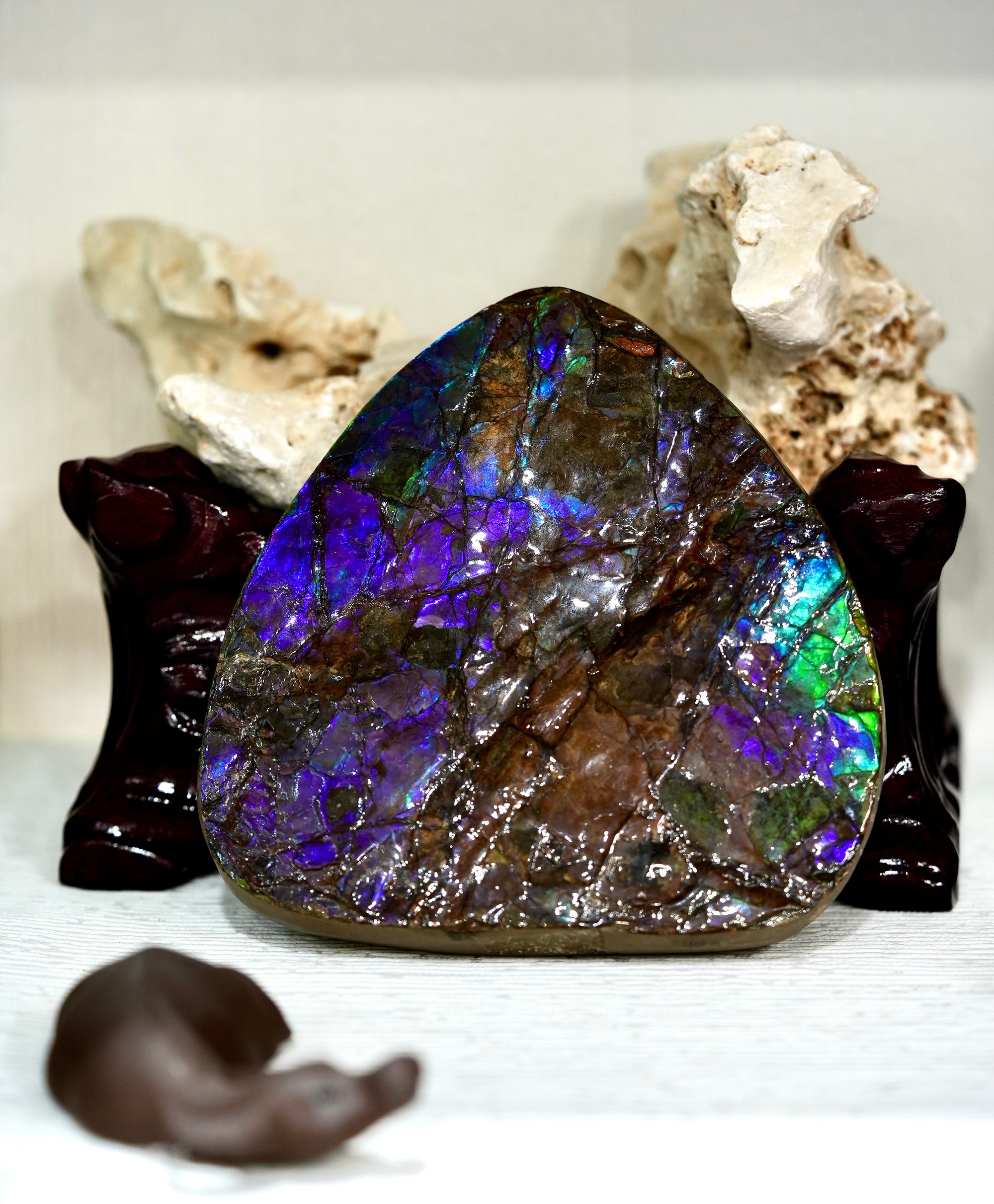 Ammolite Palm Stone #743