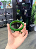 Canadian Polar Jade Bangle Natural Jade Bracelet AAA Grade 62.5mm #1470