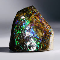 Polished Ammolite Display Stone #235