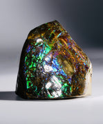 Polished Ammolite Display Stone #235