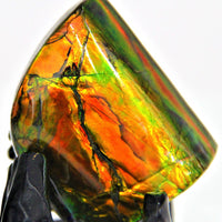 Flame Pattern Ammolite Stone #390