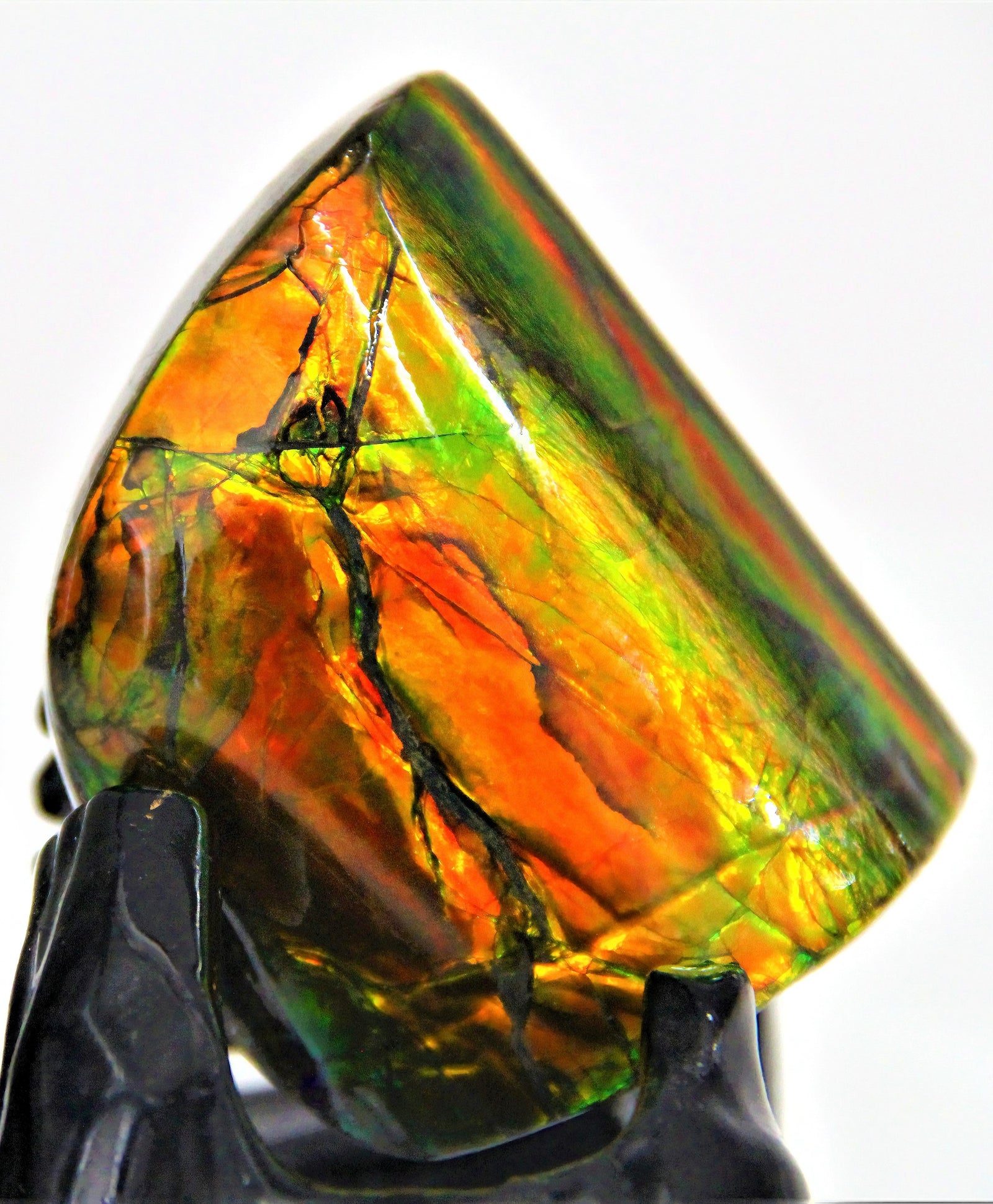 Flame Pattern Ammolite Stone #390