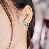 AMMOLITE EARRINGS #319