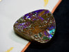 Ammolite Palm Stone #743