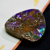 Ammolite Palm Stone #743