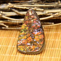 Freeform Natural Ammolite Loose Gemstone #A330