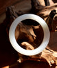 White Jade Bangle 54.7mm #226