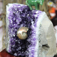 AAA Semi-Geode Amethyst Cluster #858