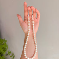 14K Akoya Salt Sea Pearl Necklace #538