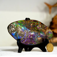 Ammolite Hand Sample Stone #616
