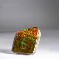 Top Grade Ammolite Display Stone #891