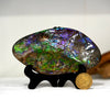 Ammolite Hand Sample Stone #616