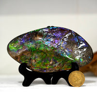 Ammolite Hand Sample Stone #616