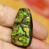 Freeform Natural Ammolite Loose Gemstone #A308