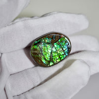 Freeform Natural Ammolite Loose Gemstone #A226