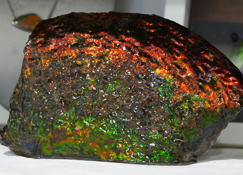 Polished Ammolite Stone #2540