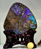 Ammolite Palm Stone #743