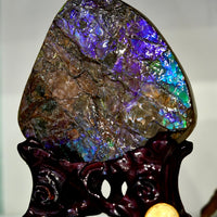 Ammolite Palm Stone #743