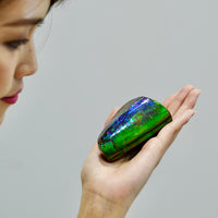 POLISHED AMMOLITE STONE #396