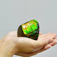 POLISHED AMMOLITE STONE #392