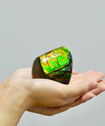 POLISHED AMMOLITE STONE #392