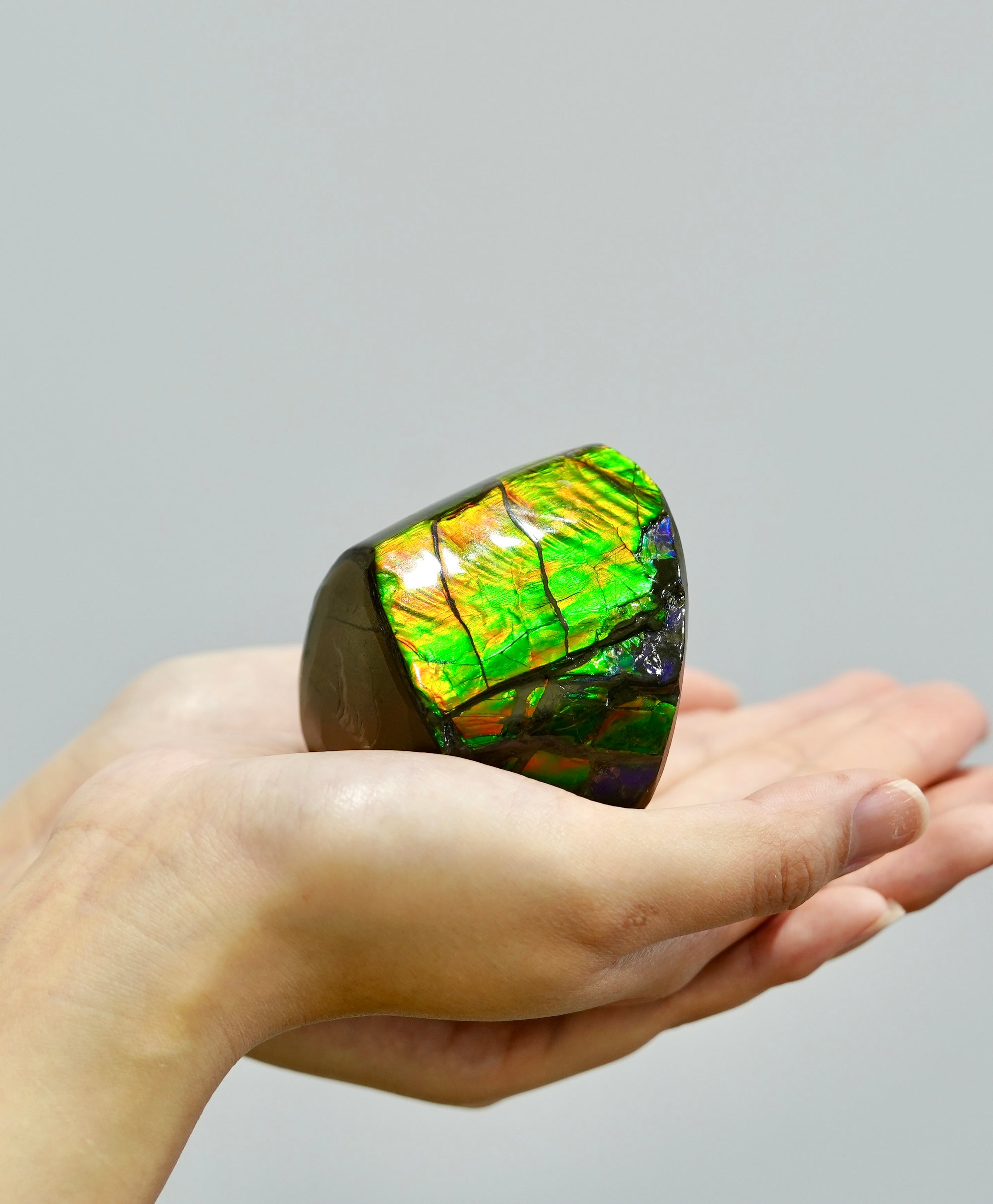 Ammolite Polished Stone #392
