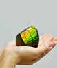 POLISHED AMMOLITE STONE #392