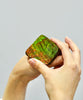 Top Grade Ammolite Display Stone #891