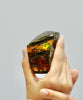 Polished Ammolite Stone #811