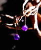 Natural Amethyst Earrings #2408