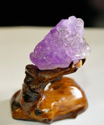 AMETHYST MONEY TOAD #2194