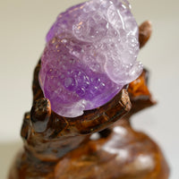 AMETHYST MONEY TOAD #2223