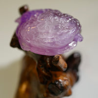 AMETHYST MONEY TOAD #2223