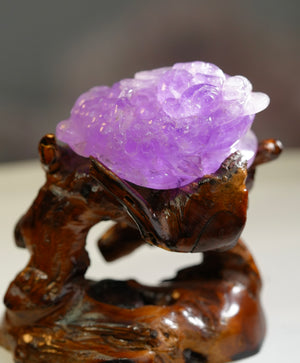 AMETHYST MONEY TOAD #2197