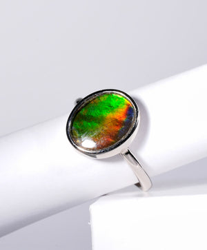 Ammolite Ring #356