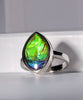 Ammolite Ring #362