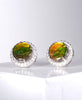 AMMOLITE EARRINGS #303