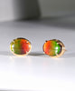 18K Ammolite Earrings #912