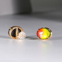 18K Ammolite Earrings #912